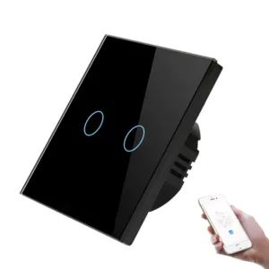 2-Gang Tuya Control Wifi Smart